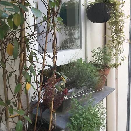 Architecte 60 M2 Appartamento